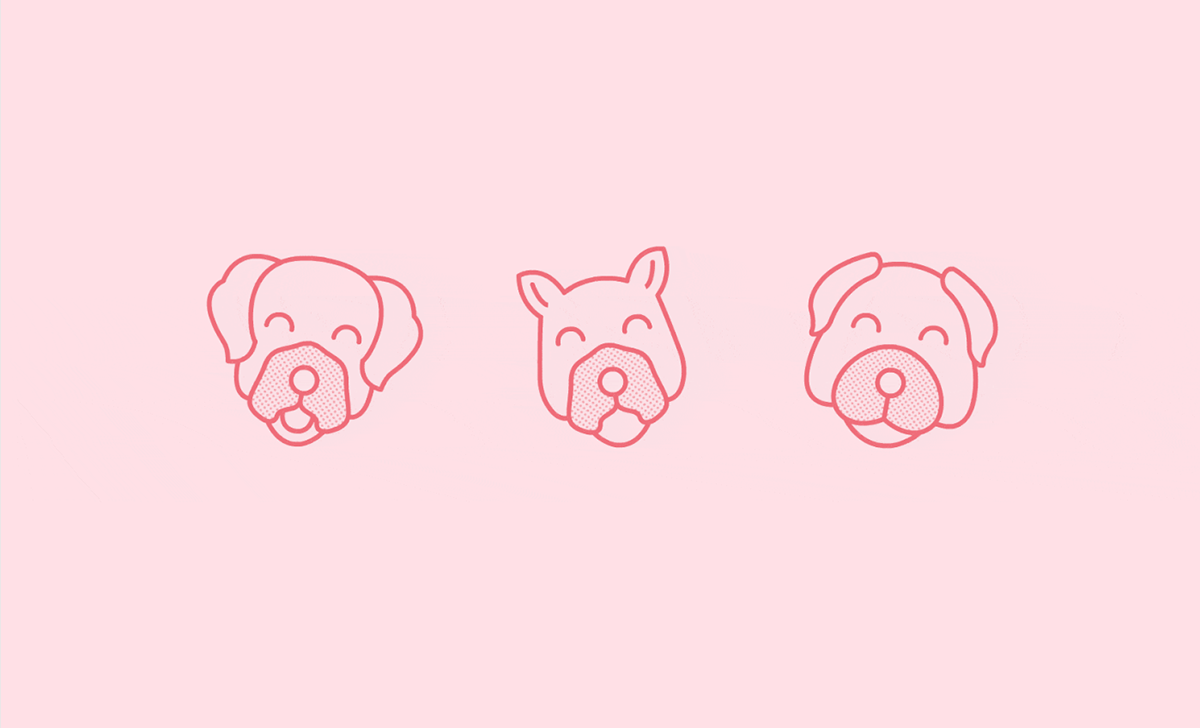 Pooch Made零售商品牌形象展示