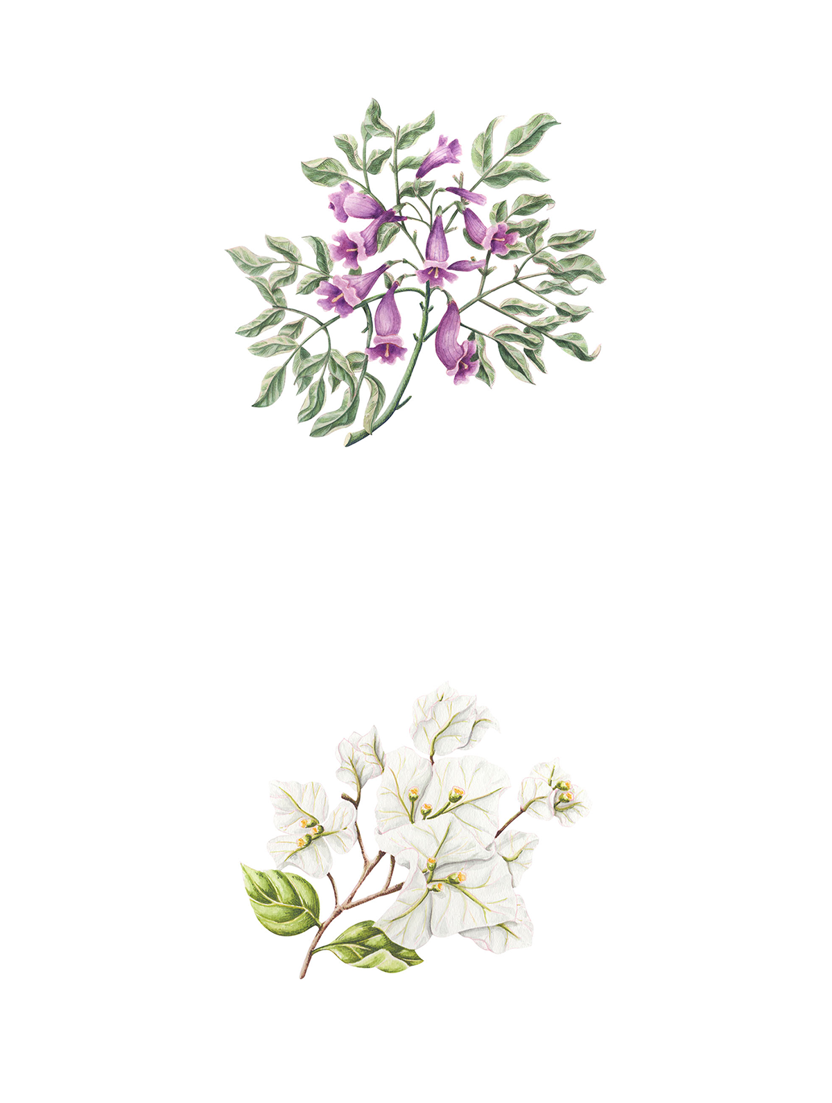 品牌設(shè)計(jì)公司案例和品牌設(shè)計(jì)公司官網(wǎng)設(shè)計(jì)，品牌設(shè)計(jì)，品牌設(shè)計(jì)公司，品牌設(shè)計(jì)案例，設(shè)計(jì)公司案例，企業(yè)官網(wǎng)設(shè)計(jì)，深圳品牌設(shè)計(jì)，左右格局