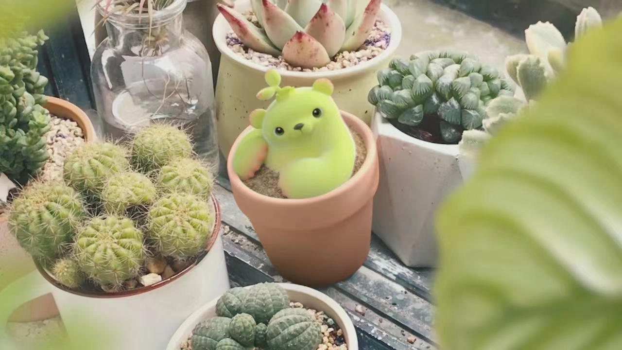 萌芽熊
